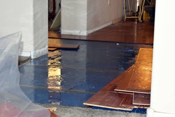 Professional Basement Flood Cleanup technician working in Hanford, CA